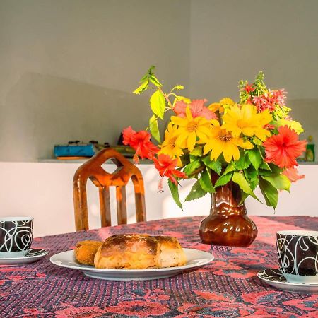 Surfing Guest House Matara Dış mekan fotoğraf